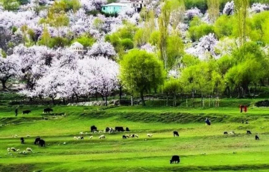 Chunda Valley, Skardu's Backyard Green Valley
