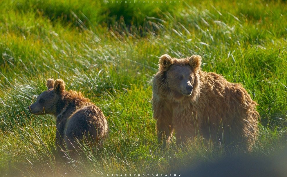 Skardu Wildlife & Nature Tour