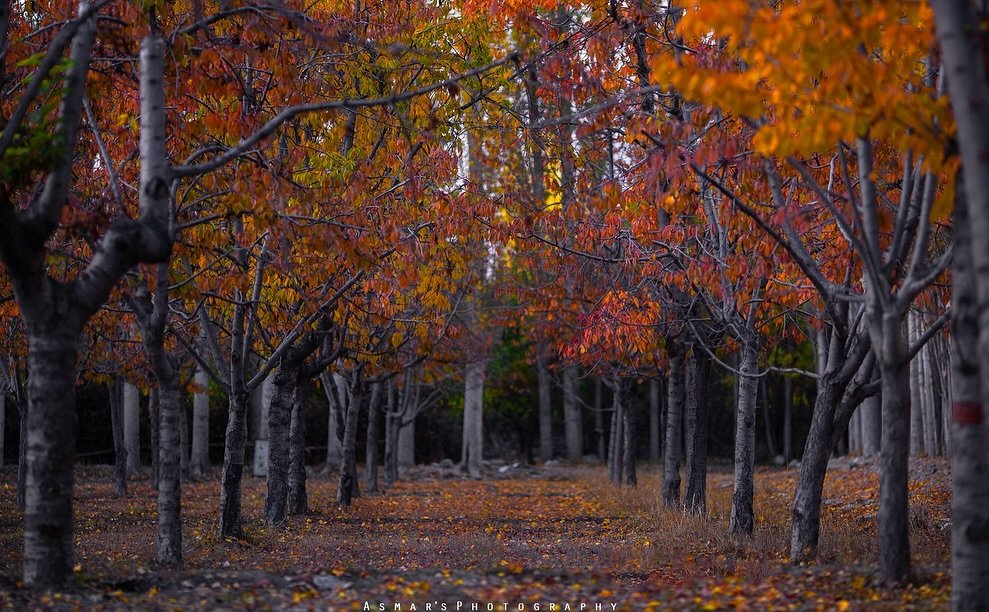 Skardu Autumn Tour, 10 Days
