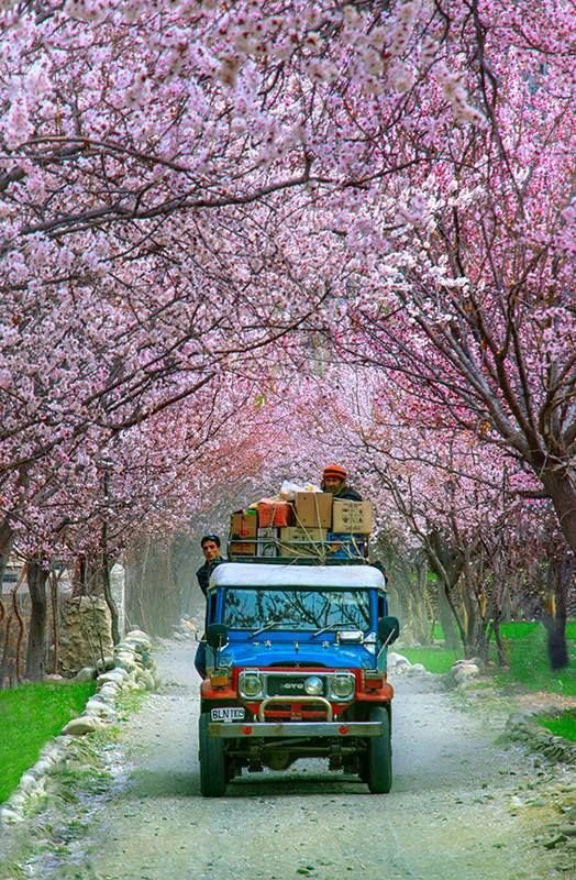 Skardu Spring Tour, 7 Days